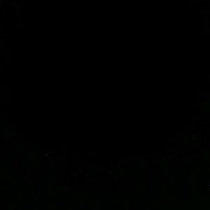 Meet your Posher, Isabelle